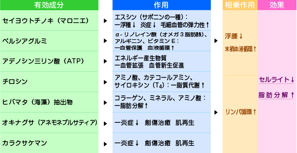 BNリポスカルプティング注射の作用機序