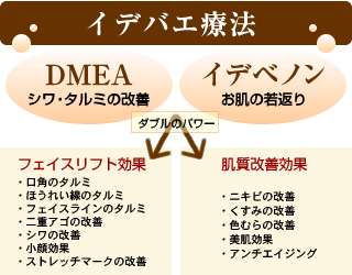 イデバエ療法の仕組み