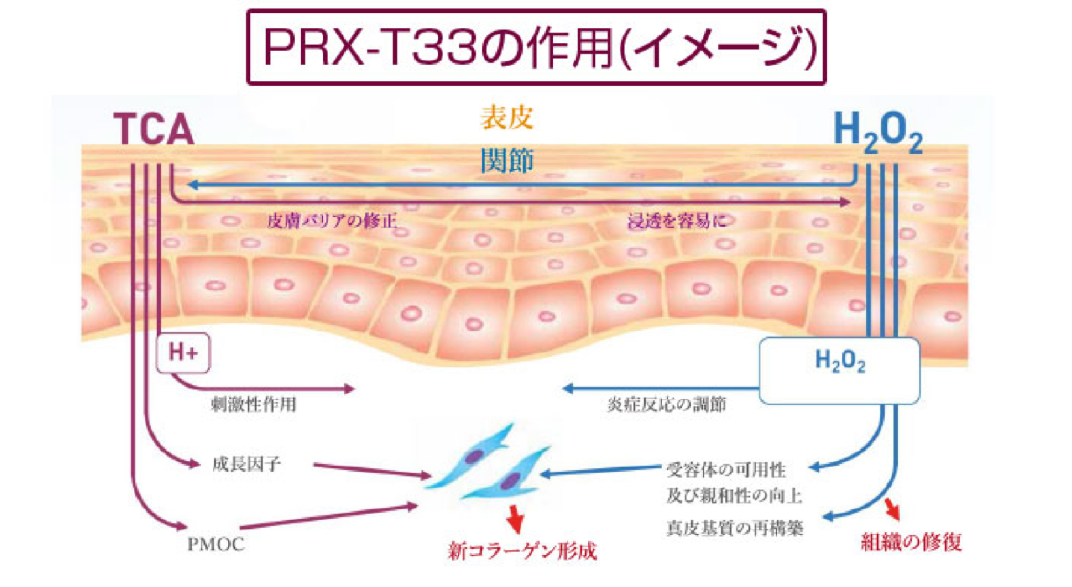 マッサージピーリングPRX－T33の作用