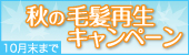 秋の毛髪再生キャンペーン
