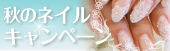 ネイルキャンペーン