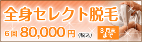 全身セレクト脱毛