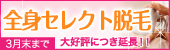全身セレクト脱毛