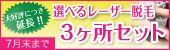 選べるレーザー脱毛3箇所セット