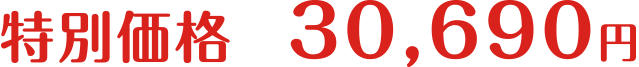特別価格30,690円
