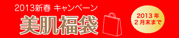 美肌福袋 2012年2月末まで