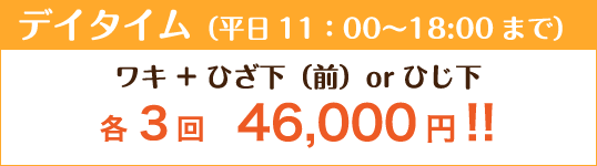 デイタイム（11:00〜18:00まで）ワキ+ひざ下（前）orひじ下 各3回 46,000円！！