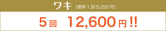 ワキ 5回 12,600円 （通常ワキ1回5,210円）