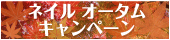 ネイルキャンペーン