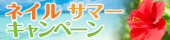 ネイルサマーキャンペーン