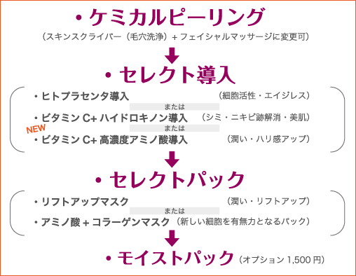 ・ケミカルピーリング→・セレクト導入→・セレクトパック→・モイストパック（オプション）
