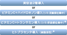 美容液2種導入orビタミンC＋ハイドロキノン導入（シミ・沈着部位集中）orトランサミン（シミの方へ）orヒトプラセンター（細胞活性）