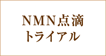 リードファイン