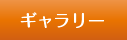 ギャラリー