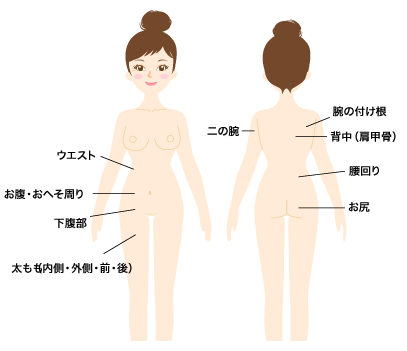 脂肪分解注射の流れ