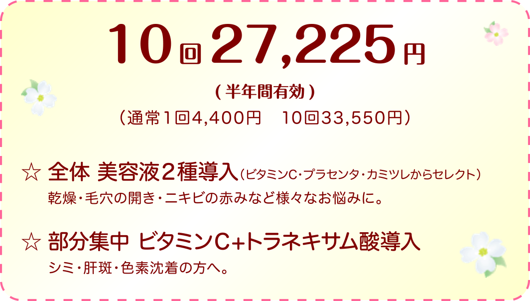 導入チケットデイタイム10回 27,225円