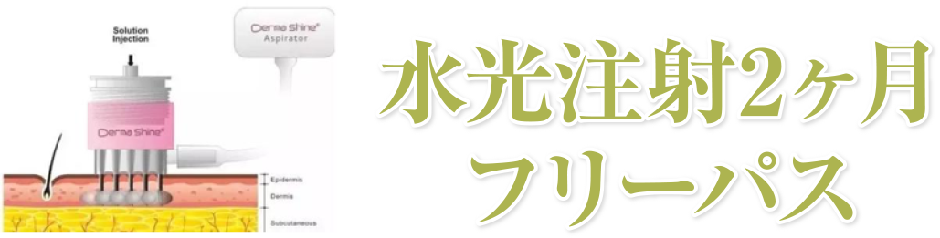 水光注射2ヶ月フリーパス