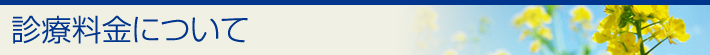 診療料金について